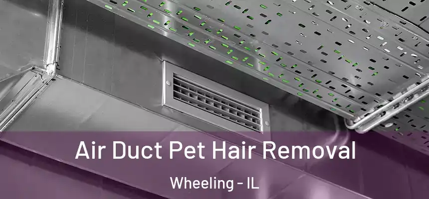 Air Duct Pet Hair Removal Wheeling - IL