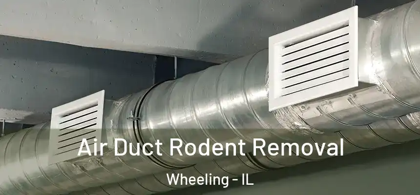 Air Duct Rodent Removal Wheeling - IL