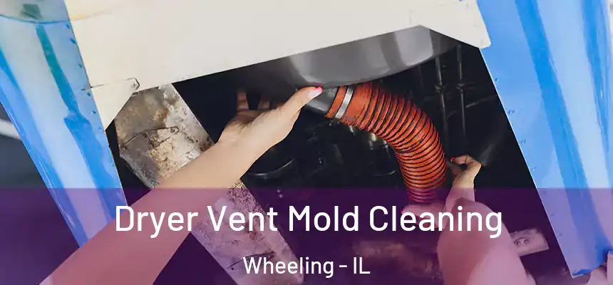  Dryer Vent Mold Cleaning Wheeling - IL