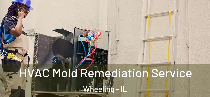  HVAC Mold Remediation Service Wheeling - IL