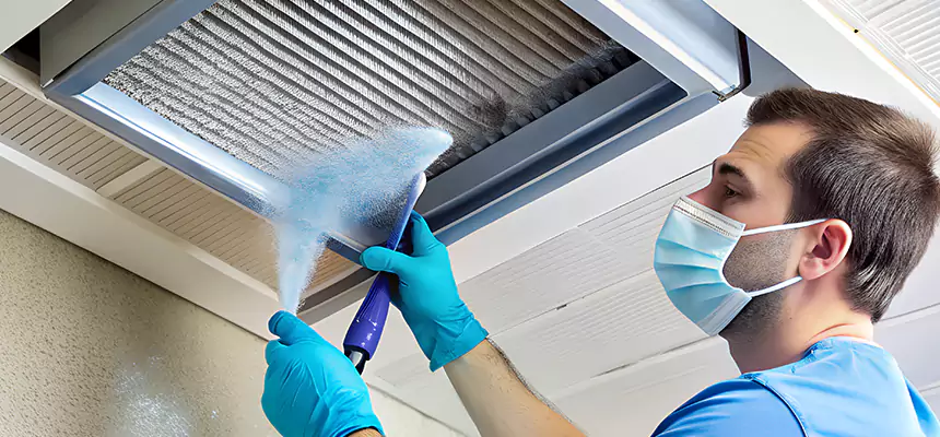 Proactive Dryer Vent & Auxiliary Duct Pollen Cleanup in Wheeling, IL