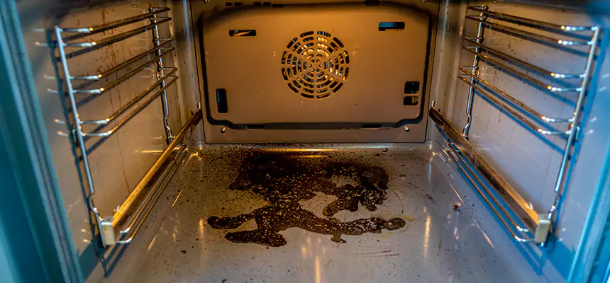 Our Dryer Vent Mold Cleaning Services in Wheeling, IL