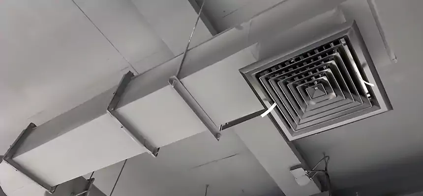 Our Pest Removal From Ducts Services in Wheeling, IL