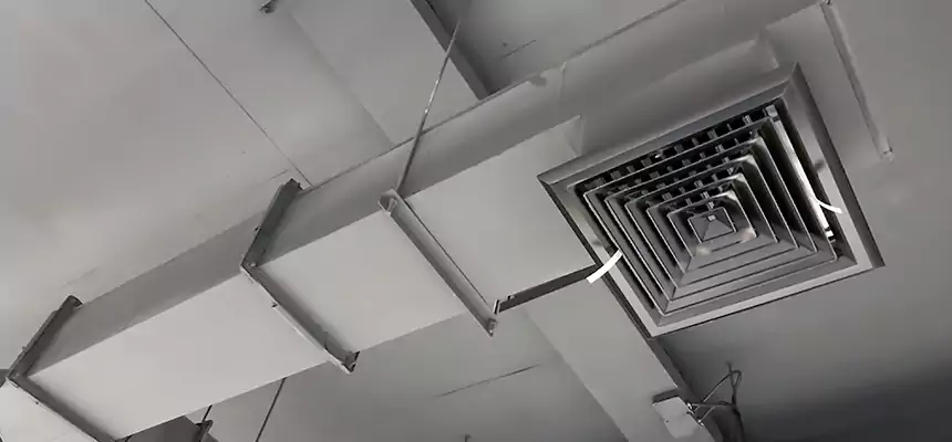 Our Rodent Droppings In Vents Services in Wheeling, IL