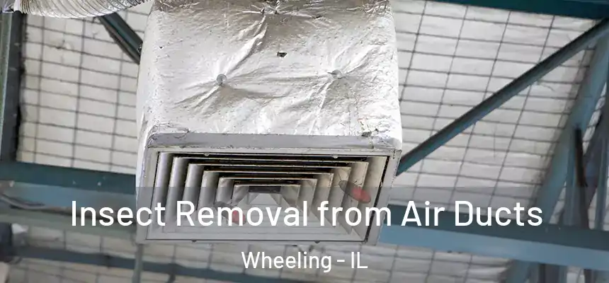  Insect Removal from Air Ducts Wheeling - IL