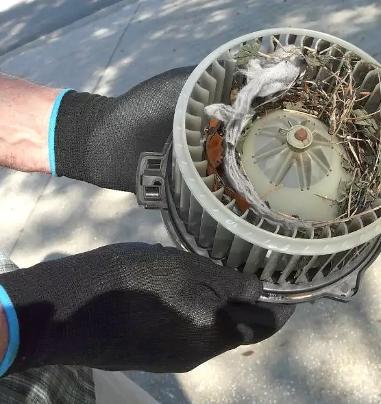 About Air Duct Rat Removal in Wheeling, IL