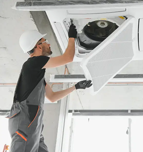 About Air Duct Rodent Removal in Wheeling, IL