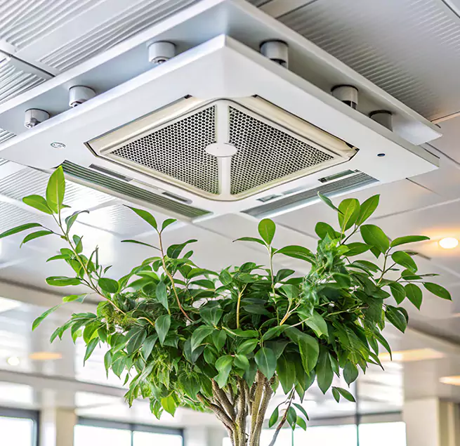 Why Homeowners & Businesses Trust Us in Wheeling, IL?