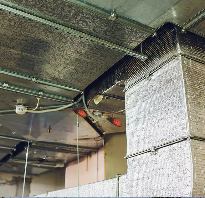 Why Homeowners & Businesses Trust Us Wheeling, IL?