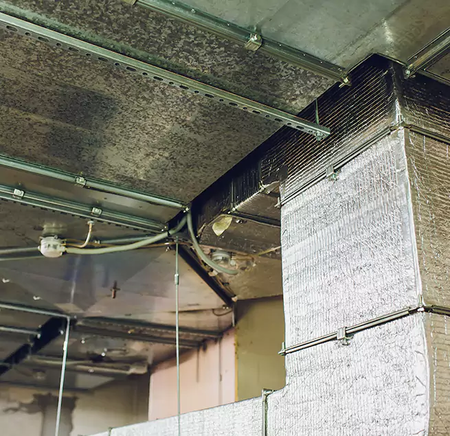 Why Homeowners & Businesses Trust Us in Wheeling, IL?